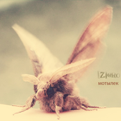 Мотылек (сингл)