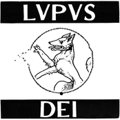 lvpvs dei