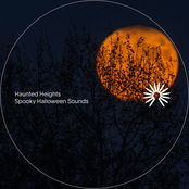 Scary Halloween Sounds