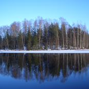 In Finland (Live) feat. The Avengers