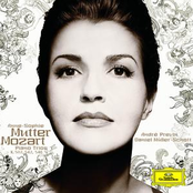 Mozart: Piano Trios K. 548, 542 & 502 (Standard Version)