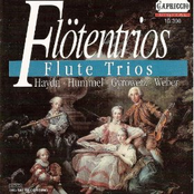 Flute Trios - Hummel, J.N. / Haydn, F.J. / Gyrowetz, A. / Weber, C. M. Von