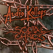 Audio Kollaps/Social Chaos Split