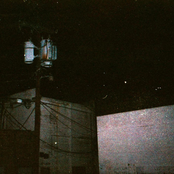 if i was a shark i'd be jaws