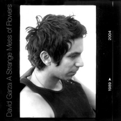 David Garza: A Strange Mess of Flowers