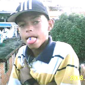 mc zoi de gato