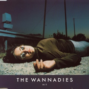 As If You Care by The Wannadies