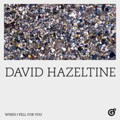 David Hazeltine: When I Fell for You