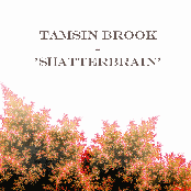 shatterbrain