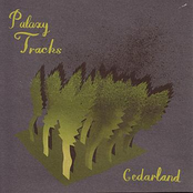 Cedarland by Palaxy Tracks
