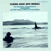 Playing Music With Animals: The Interspecies Communication Of Jim Nollman With 300 Turkeys, 12 Wolves, 20 Orca Whales