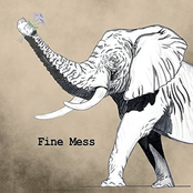 Fine Mess: Those Flowers That Fix Me