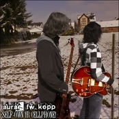 Cannonade the Dancefloor (SP)