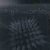 In the Shadow of the Phoenix