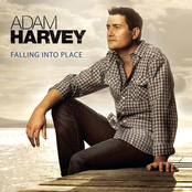 Falling Into Place by Adam Harvey