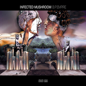 Dancing With Kadafi by Infected Mushroom