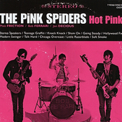 Going Steady by The Pink Spiders