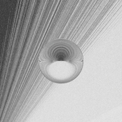 40 Million Cat Hairs