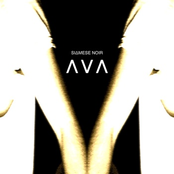 AVA