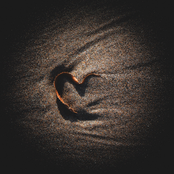 Kallai: Always/Never