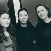 sylvie courvoisier - joëlle léandre - susie ibarra