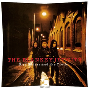 Red Guitar and The Truth