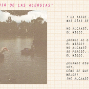 Como Huir de las Alergias