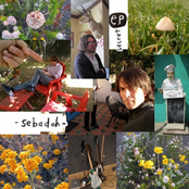 Arbitrary High by Sebadoh