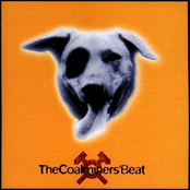 The Coalminers: The Coalminers' Beat