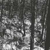 Within The Decadence of Subliminal Rot