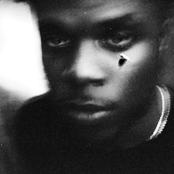 The Breeze Freestyle