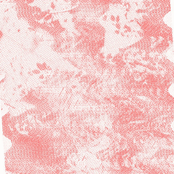 Whigs Crooks and Beer Swindlers