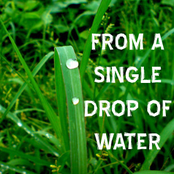 From a single drop of water