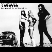 Pebbles: Lost Gems of the 60s, Vol. 2 (Edited)
