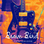 I Don't Wanna Know by Brave Bird