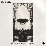 Penguins on the Moon