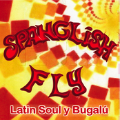 Latin Soul Stew by Spanglish Fly