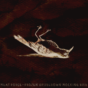 Frozen Upsidedown Mocking Bird