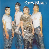 Radio Junk by Sheena & The Rokkets