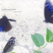 I touch your Feather