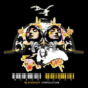 BlackSheep Compilation Black seven