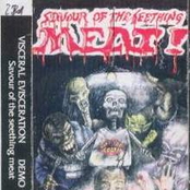 Savior of Seething Meat (Demo)