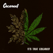 It's That Cocareef
