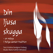 Din ljusa skugga