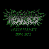 Unseen Parasite