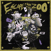 Escape from the Zoo: Countin' Cards