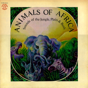 animals of africa