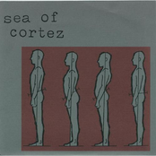 Sea Of Cortez 7"