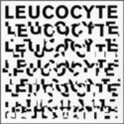 Leucocyte