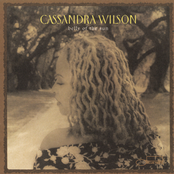 Shelter From The Storm by Cassandra Wilson